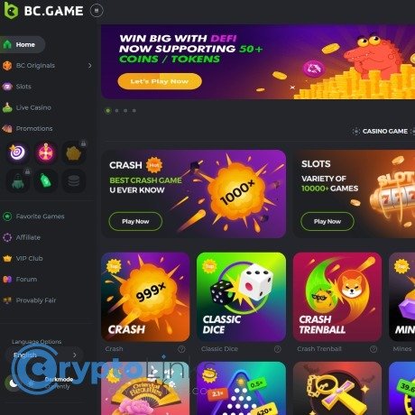Exploring BC.Game Online Casino A New Era of Gaming