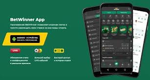 Discover the Excitement of BetWinner Casino Platform